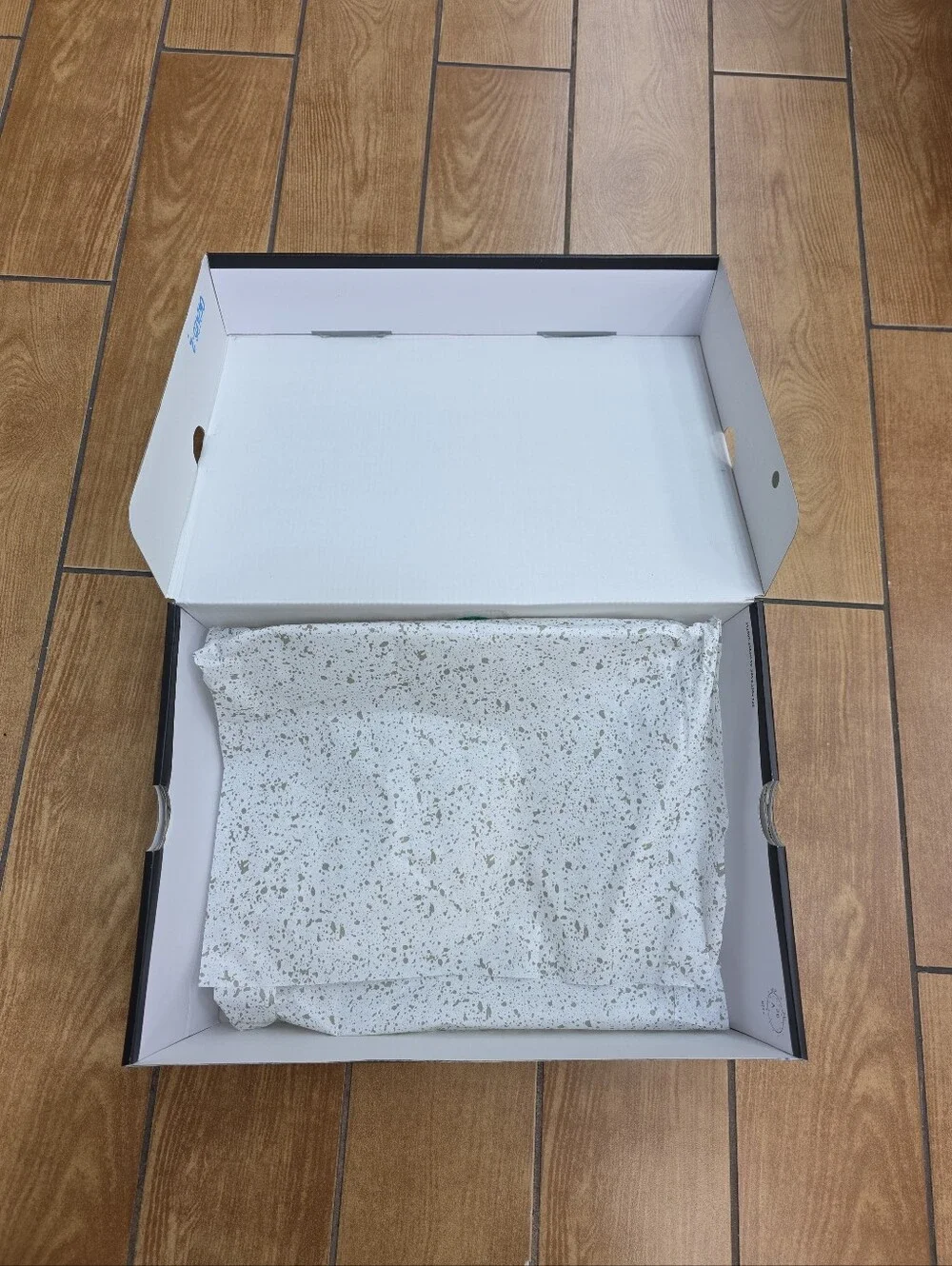 Empty Shoe Box